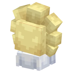 Sunny Castform