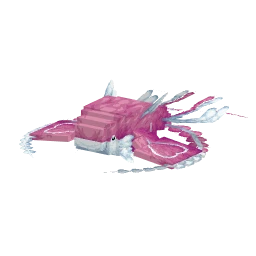 Kyogre with the Valentine's 2026 Bundle skin