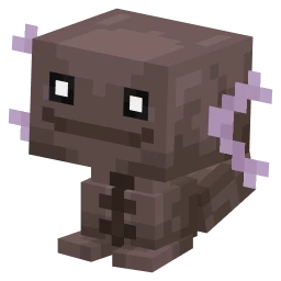 Paldea Wooper